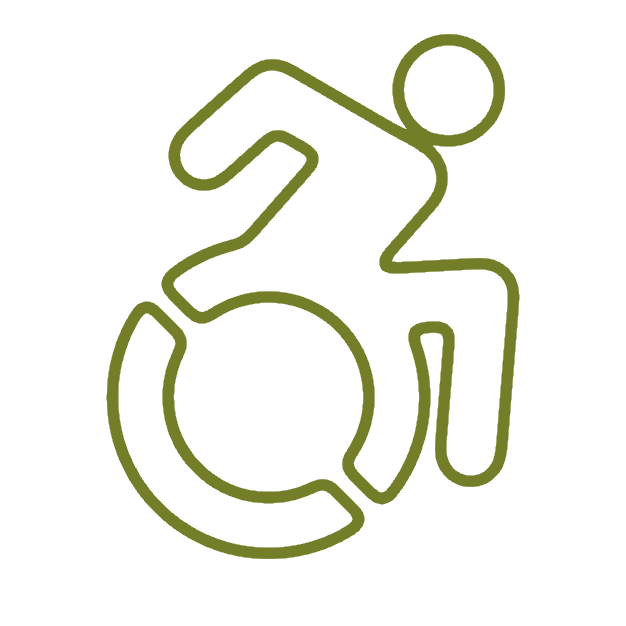 icon_disability